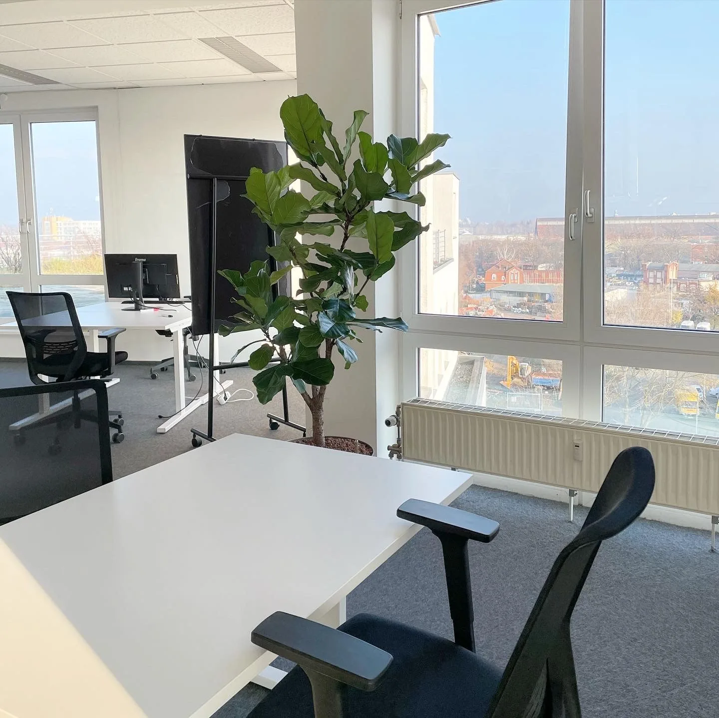 Terrace Offices